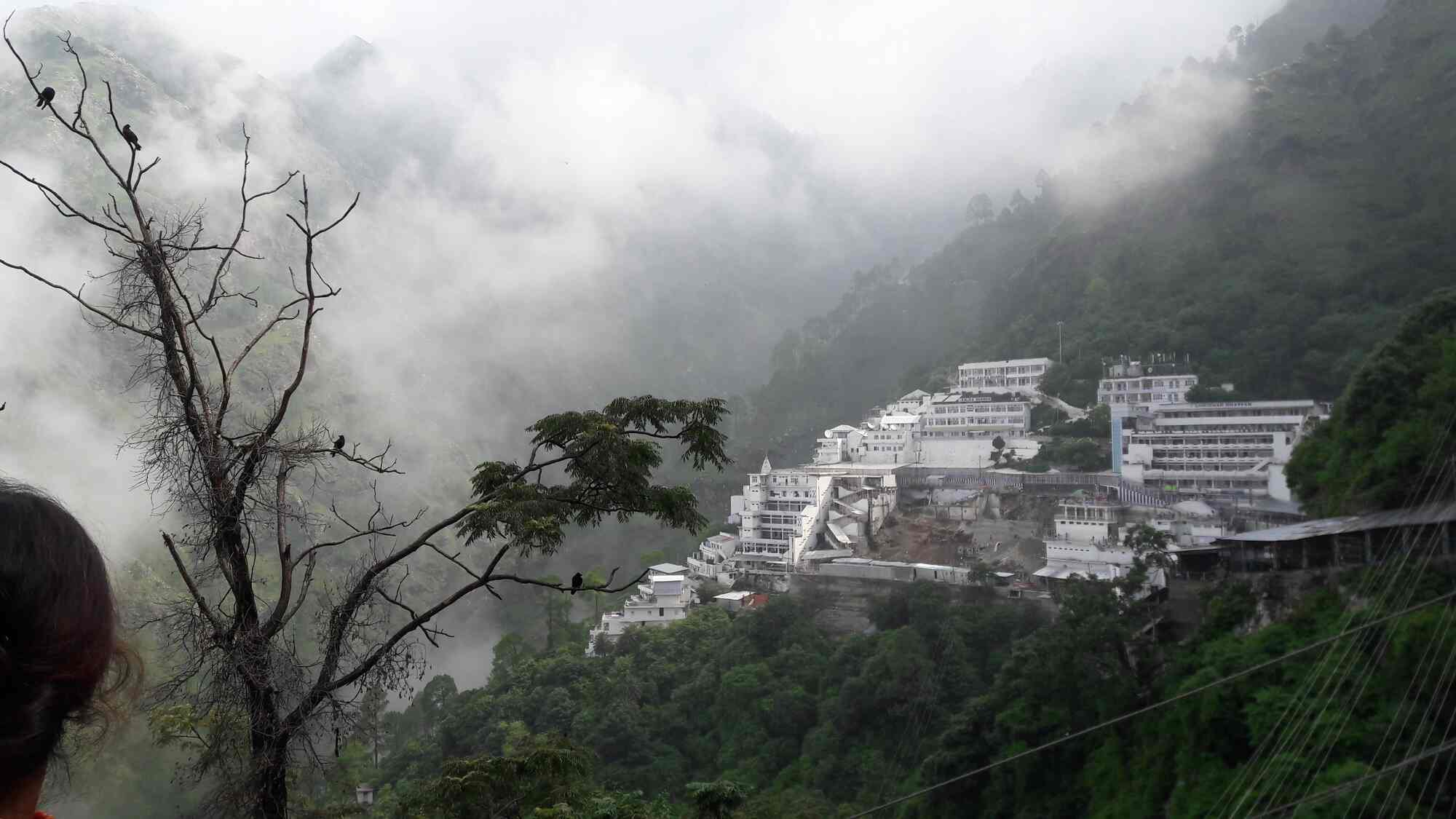 Vaishno Devi Yatra Advisory: Shrine Board warns against fake WhatsApp bookings, issues helpdesk number