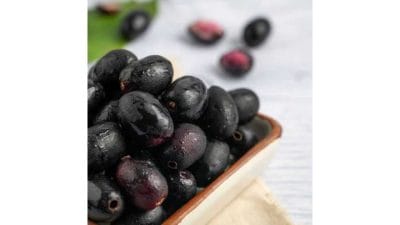 ‘या’ गोष्टींसोबत जांभूळ खाणे टाळा; होऊ शकतात गंभीर परिणाम