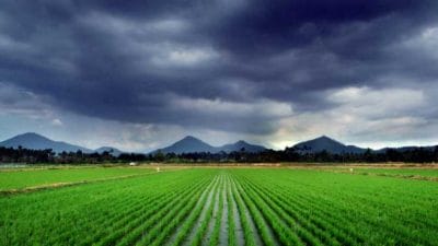 विदर्भ, मराठवाड्यात पुढील 4 दिवस चांगल्या पावसाचा अंदाज; मुंबईसह कोकणात तुरळक पावसाची शक्यता, हवामान विभागाचा अंदाज