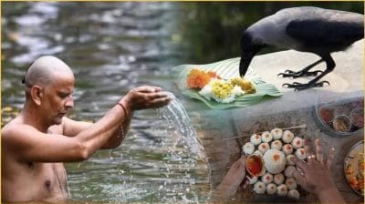 पितृ पक्ष कधीपासून सुरू होत आहे? जाणून घ्या श्राद्धाच्या महत्त्वाच्या तिथी