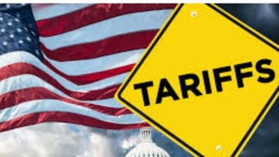 भारतापाठोपाठ युरोपियन देशांनीही अमेरिकेशी पोस्टल सेवा थांबवली, ट्रम्प यांच्या टेरिफमुळे निर्णय