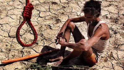 Farmer Suicide: धक्कादायक! अवघ्या 11 महिन्यांत विदर्भ आणि मराठवाड्यात इतक्या शेतकऱ्यांच्या आत्महत्या!