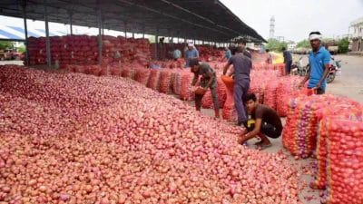 Onion Price: कांद्याची आवक वाढल्याने बाजारात दरात घसरण; कांदा उत्पादकांची डोकेदुखी कायम !