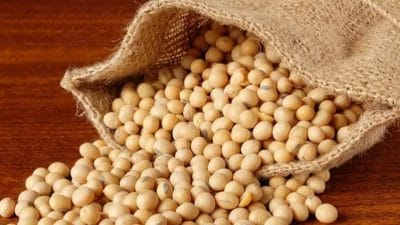 Soyabean Price Hike: राज्यभरात सोयाबीनच्या दरात तेजी; सध्याचे बाजारभाव जाणून घ्या !