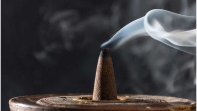 Vastu Tips : घरात धूप लावण्याचे आहेत ‘हे’ फायदे, जाणून घ्या महत्त्व…