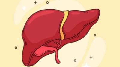 लिव्हरसाठी सुपरफूड आहेत ‘हे’ ४ पदार्थ, दररोज करा सेवन