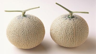 हे आहे जगातील सर्वात महागडे फळ, जाणून घ्या त्याच्या इतक्या किमतीमागचे कारण