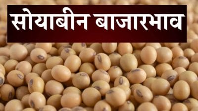 Soyabean Price: वाशिमच्या बाजारात सोयाबीनचा दर 5 हजारांच्या पार; शेतकरी सुखावले !