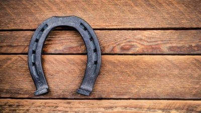 Vastu Tips : घोड्याच्या नालला वास्तू शास्त्रात आहे विशेष महत्त्व, जाणून घ्या फायदे …