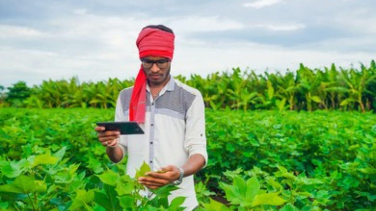 E Pik Pahani : शेतकऱ्यांसाठी सरकारचा महत्वाचा निर्णय!! आता ऑफलाईन पद्धतीने करा ई पिक नोंदणी