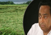 crops-destroy-from-natural-calamity-government-has-not-come-out-of-the-ministry-