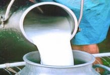 after-loksabha-election-Increase-in-milk-prices-after-LPG-gas-and-petrol-