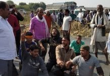 Gwalior--Wounded-by-killing-axes-of-20-cows