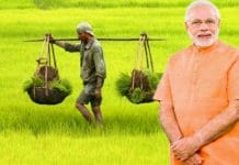 modi-government-gift-for-farmers-4000-per-acre-direct-transfer-in-account