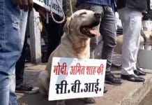 NCP's-unique-protest-in-bhopal-against-cbi-and-modi-government