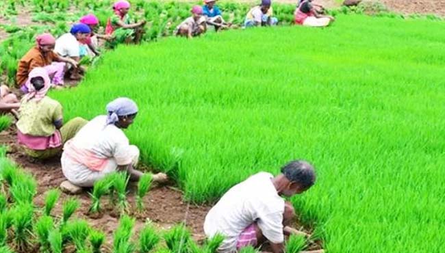politics-on-farmers-in-madhya-pradesh-
