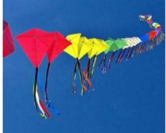 एक डोर से चुन्नीलाल उड़ाएंगे 500 पतंगें, मेले में लड़ेंगे पतंगों पेंच