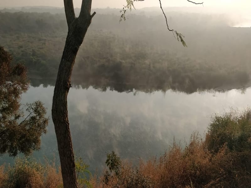 Madhya Pradesh Weather : श्योपुर में कूनो नदी पर जमी बर्फ की परत