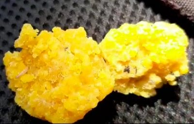 पोषण आहार के नाम पर बांटे इल्लियों वाले लड्डू, सहायिका ने स्वीकारी गलती, अधिकारी ने की टालमटोल