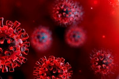 शिवपुरी में 252 नए पॉजिटिव, 255 ठीक हुए, 14 की कोरोना से मौत