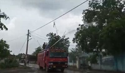 कटनी में टिड्डी दल की फिर वापसी, खड़ी फसलों को नुकसान