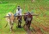 Telangana farmers Rythu Bandhu Scheme