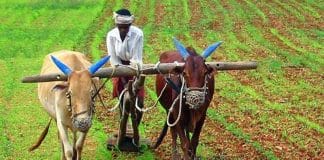 farmers loan waiver scheme