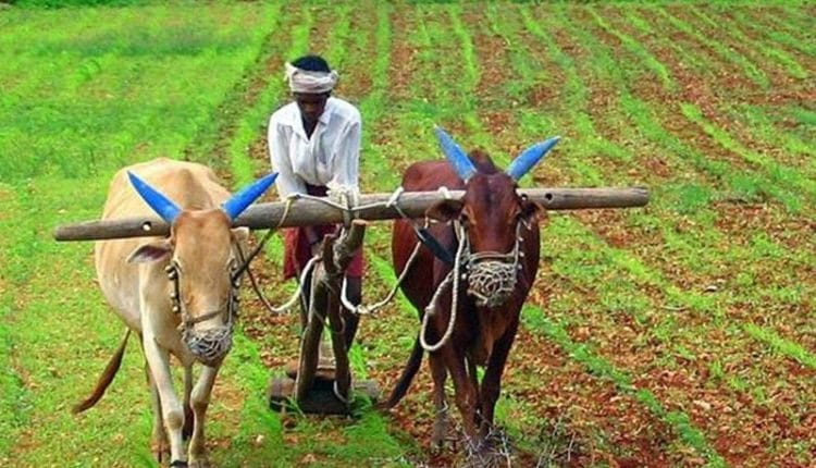 17000 खुलेंगी किसान पाठशालाएं, यूपी के बजट में किसानों को क्या क्या मिला,  एक क्लिक में पढ़िए यहां | Big Gift to Million Farmers, 51 crore amount  transfer in bank account, will