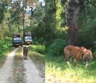 1 अक्टूबर से सैलानियों के लिए खुल गया कान्हा नेशनल पार्क