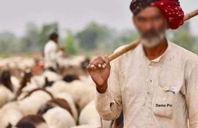 Shivpuri News: पुलिस की डकैत गुर्जर गिरोह से मुठभेड़, एक डकैत पकड़ा, चरवाहे को छुड़ाया