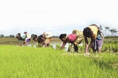 मप्र के किसानों के लिए शिवराज सरकार का एक और बड़ा फैसला