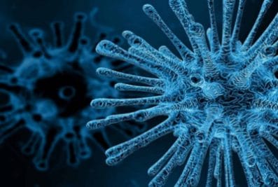 परिवहन विभाग के अधिकारियों और कर्मचारियों की मांग- कोरोना योद्धा घोषित करें