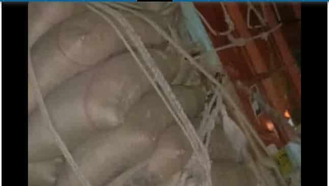 Road Accident: ट्रक ने बाइक सवारों को मारी टक्कर, मौके पर तीनों की मौत, चालक फरार