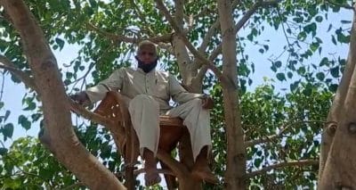 बुजुर्ग ने पीपल के पेड़ पर डाला डेरा, ये है खास वजह