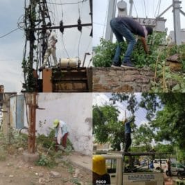 ऊर्जा मंत्री के खंबे पर चढ़ने का असर, कर्मचारी हटा रहे घोंसले, झाड़ियां, अफसर मैदान में