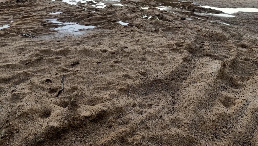 सिंगरौली