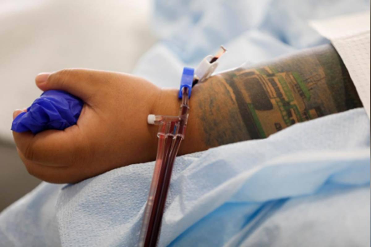 world blood donor day