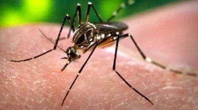 Zika Virus: देश में एक नए वायरस की एंट्री, केरल में मिला पहला मामला, जाने लक्षण