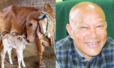 BJP मंत्री का विवादित बयान- चिकन-मटन से ज्यादा खाएं बीफ, कानून से ना डरे