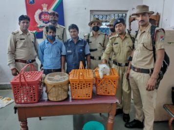 Itrasi : स्टेशन पर पठानकोट एक्सप्रेस से RPF ने पकड़ी विदेशी नस्ल की बिल्लियां, तस्करी की आशंका