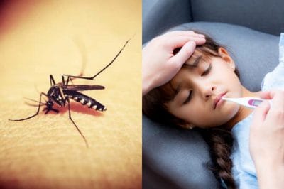 इंदौर में वायरल फीवर का वार, अब डेंगू भी मचा रहा आतंक !