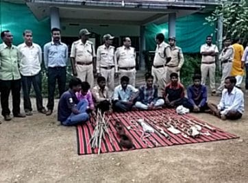बालाघाट में वन विभाग की कार्रवाई, शिकार करने वाले 8 आरोपी गिरफ्तार