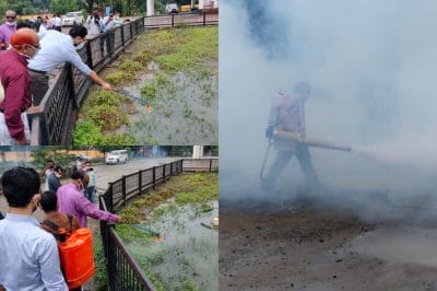 “डेंगू पर प्रहार” महाअभियान का शुभारंभ, बैतूल में सांसद, कलेक्टर ने अपने हाथों से किया दवा का छिड़काव