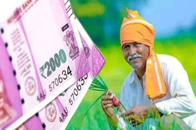 PM Kisan: आने वाली है 11वीं किस्त, सीधे खाते में आएंगे 2000, जल्द लिस्ट में चेक करें अपना नाम