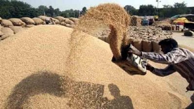 Paddy Procurement 2023:19 लाख किसानों के लिए अच्छी खबर, खातों में 16217 करोड़ का भुगतान, 31 जनवरी तक चलेगी खरीदी