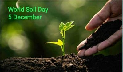 World Soil Day : ये है विश्व मिट्टी दिवस का इतिहास और मनाने की वजह