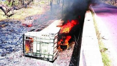 Panna news: बर्निंग बस हादसे में ड्राइवर को 190 वर्ष और मालिक को 10 वर्ष की सज़ा