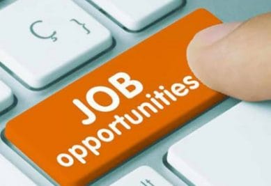 Sarkari Naukari: युवाओं के लिए नौकरी का सुनहरा मौका, मिलेगी अच्छी सैलरी, जाने डीटेल