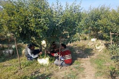 जबलपुर : छात्र थ्योरी के साथ-साथ अब प्रैक्टिकल के लिए भी पूरी तरह से तैयार – वरिष्ठ वैज्ञानिक डॉ मोनि थॉमस