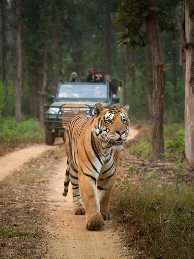 मध्य प्रदेश में घूमने के लिए बेहतरीन जगहें जो आपको बना देगी दीवाना